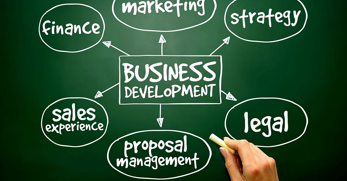 A Comprehensive Understanding of Business Development